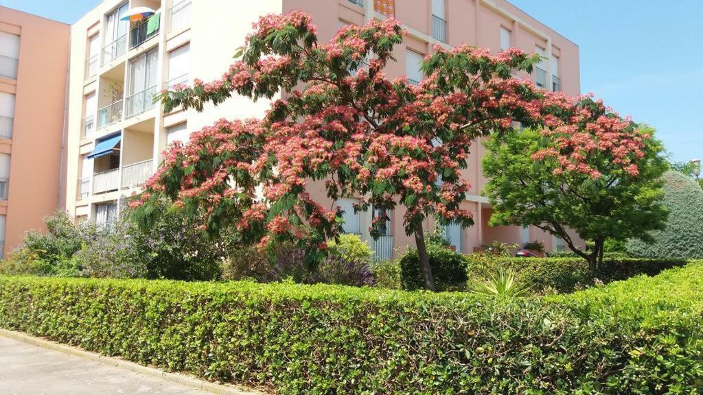T3 Spacieux Et Lumineux A 5Min Du Port De Sanary - Fleur De Mai Apartment Buitenkant foto